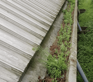 Happy customers in Letchworth Garden City who trust The Roof Moss Cleaners for gutter cleaning services